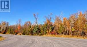 PT E 1/2 LOT 24 CHAPEL ROAD | South Stormont Ontario | Slide Image Two