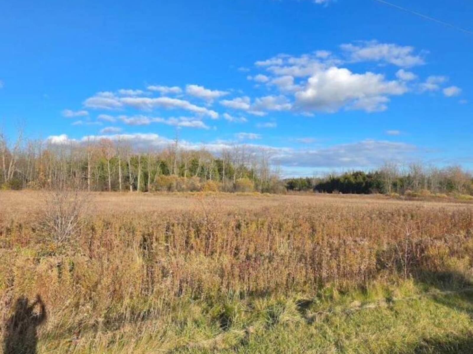 LOT 1 AULTSVILLE ROAD, South Stormont, Ontario K0C 1M0