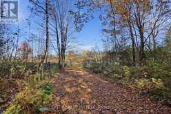 0000 SANDY HILL ROAD | Hawkesbury Ontario | Slide Image Seventeen