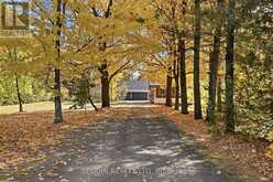 1353 RITCHANCE ROAD | L'Orignal Ontario | Slide Image Two