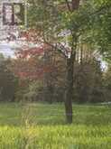 20 SAPPHIRE DRIVE W | Cornwall Ontario | Slide Image One